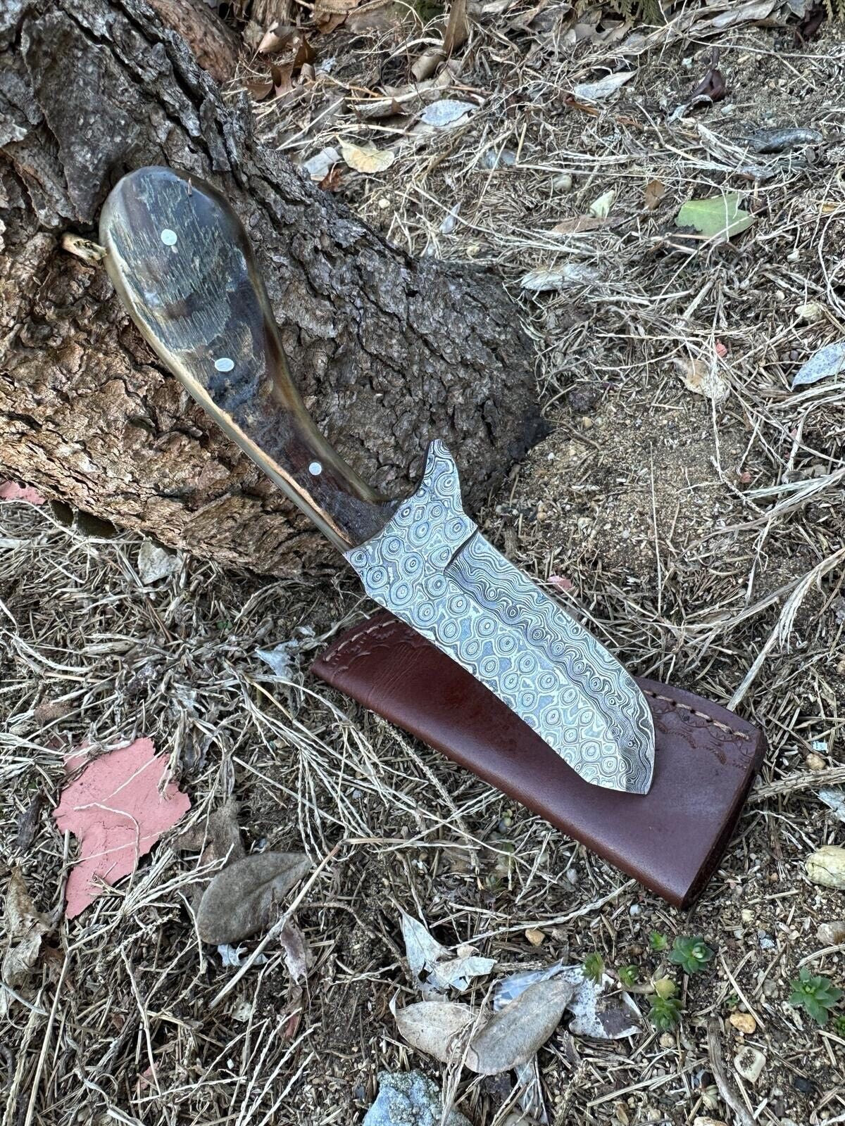 Damascus Steel Fixed Blade Knife with Ram Horn Handle