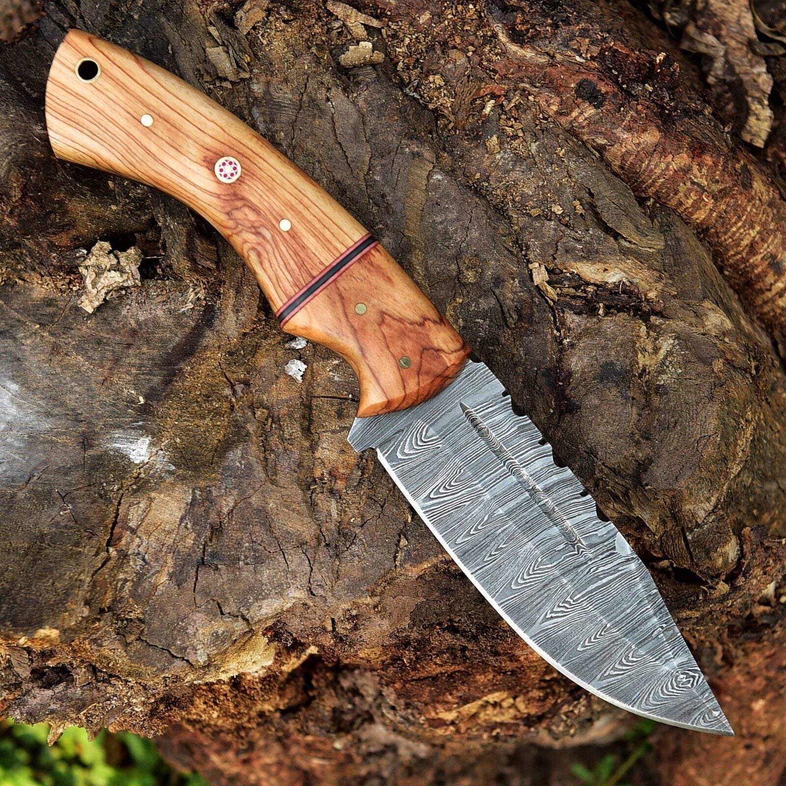 Custom Damascus Fixed Blade Knife with Olive Wood