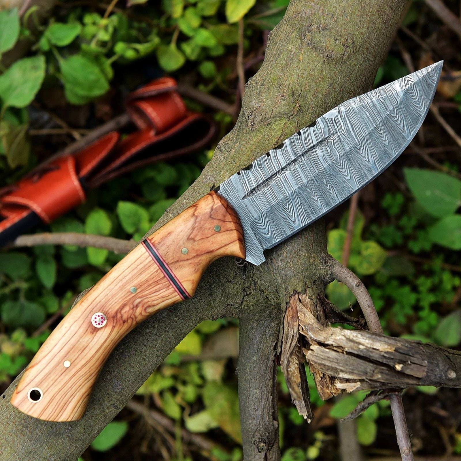 Custom Damascus Fixed Blade Knife with Olive Wood