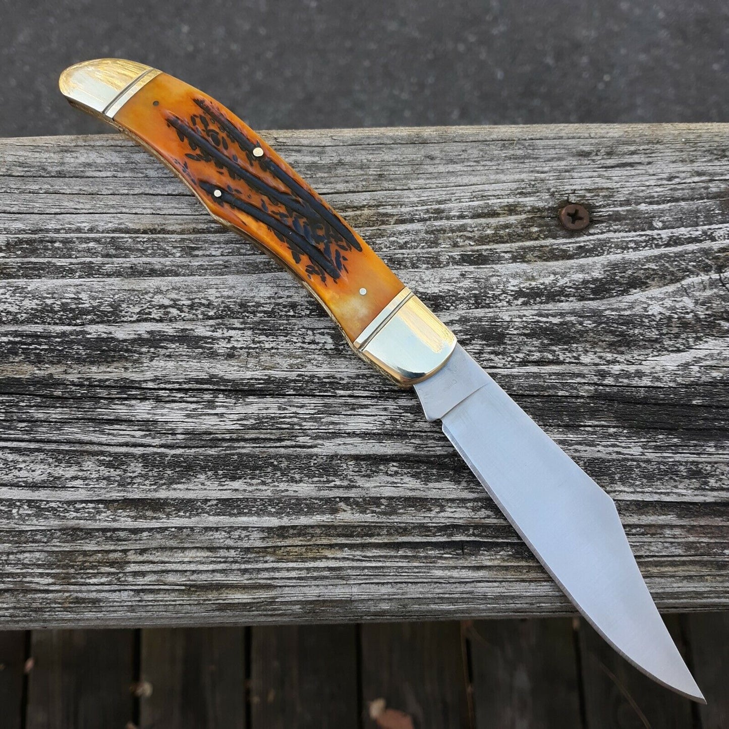 Folding Knife with Jigged Bone Handle