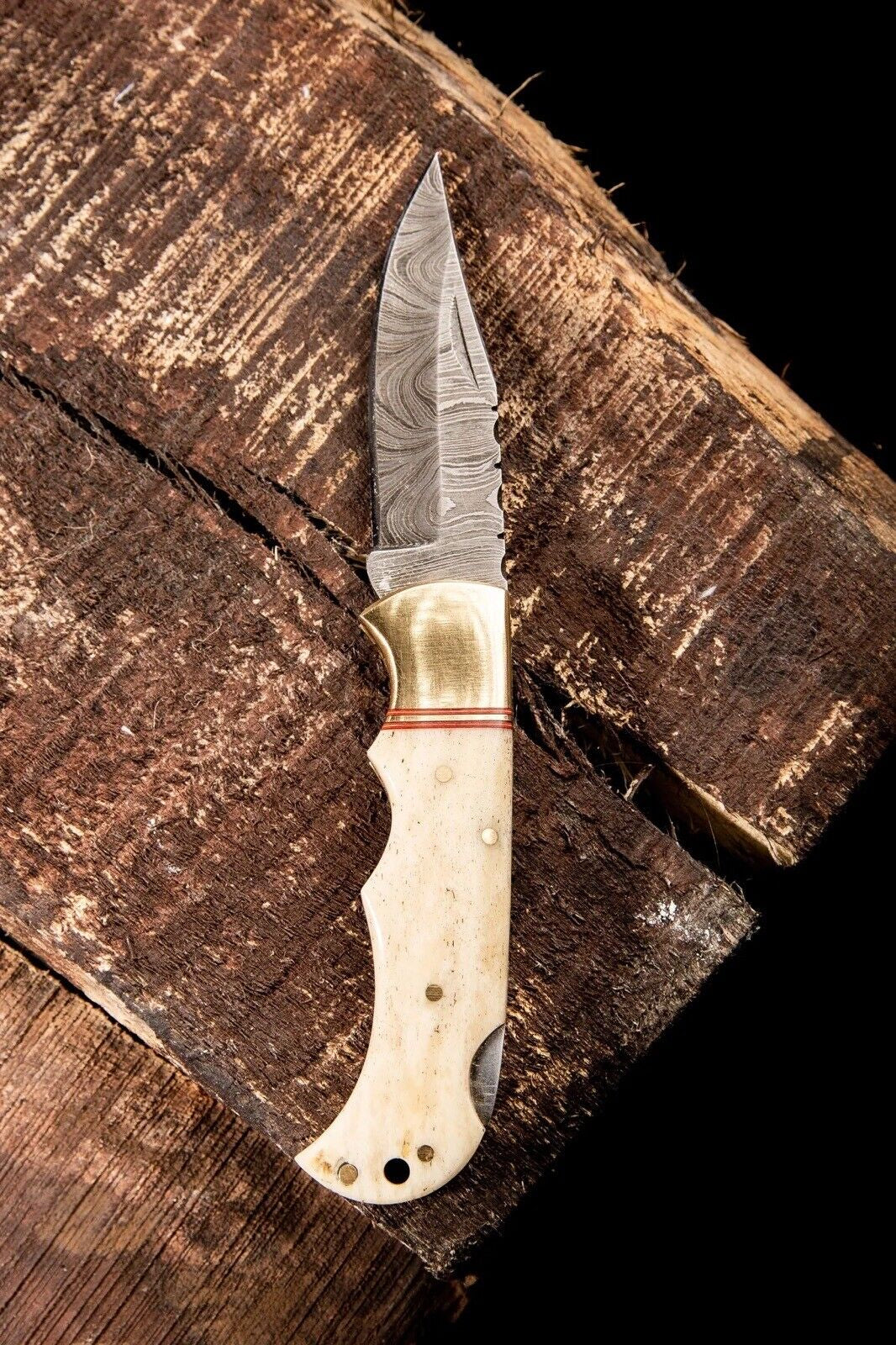 Folding Knife with Camel Bone Handle