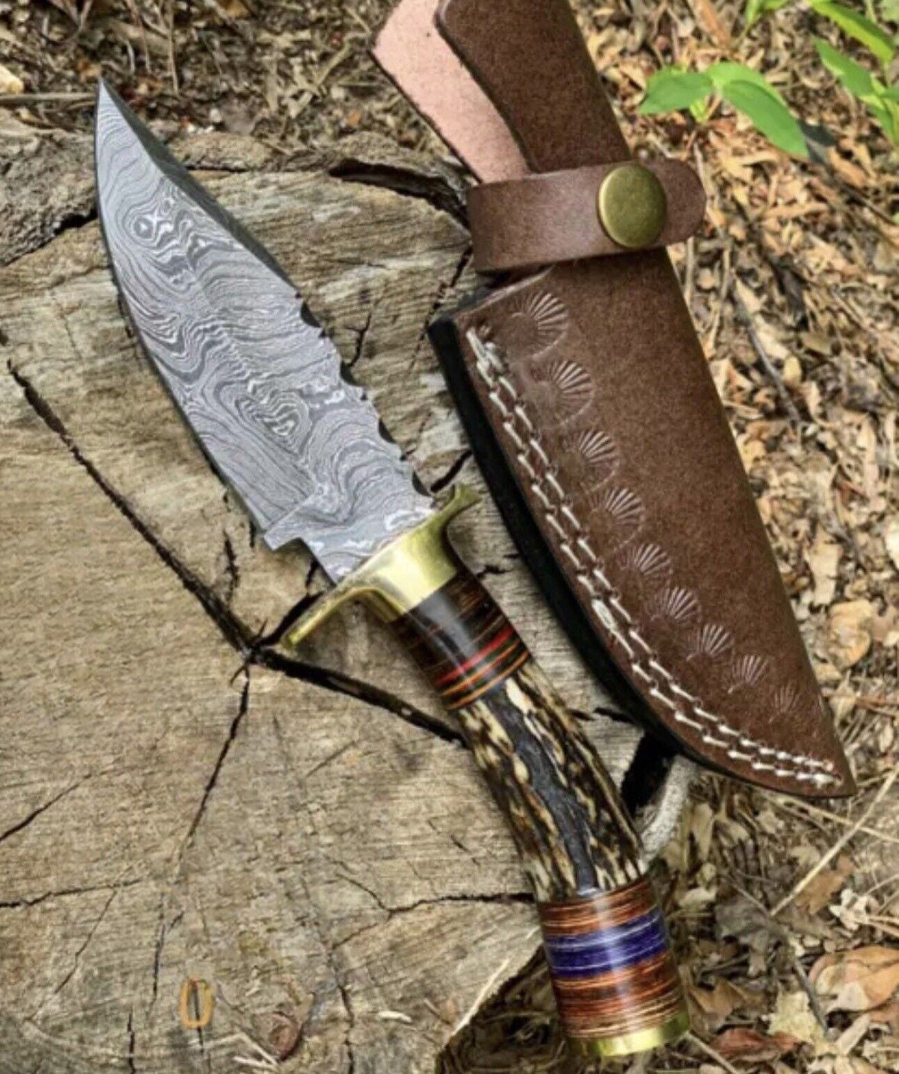 Damascus Steel Hunting Knife with Stag Knife Handle