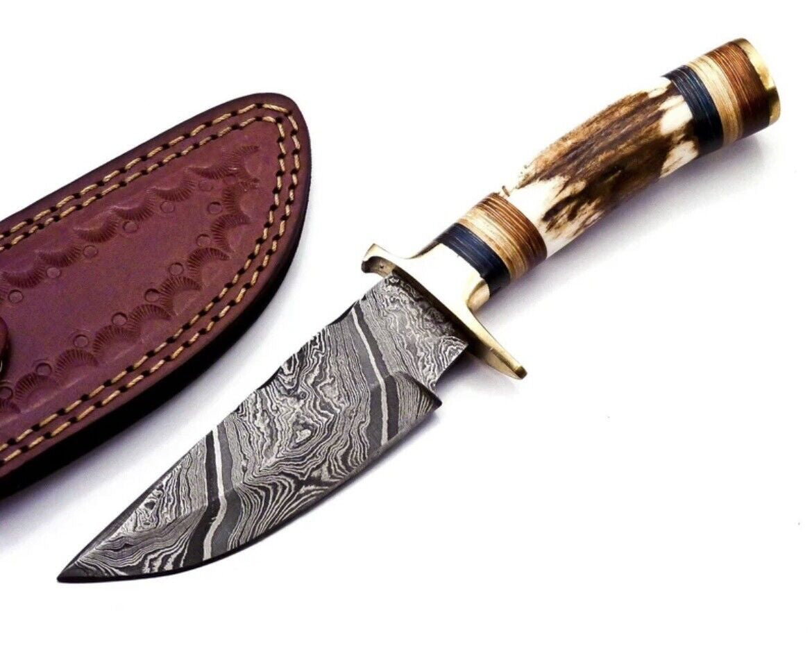 Damascus Steel Hunting Knife with Stag Handle and Brass Guard