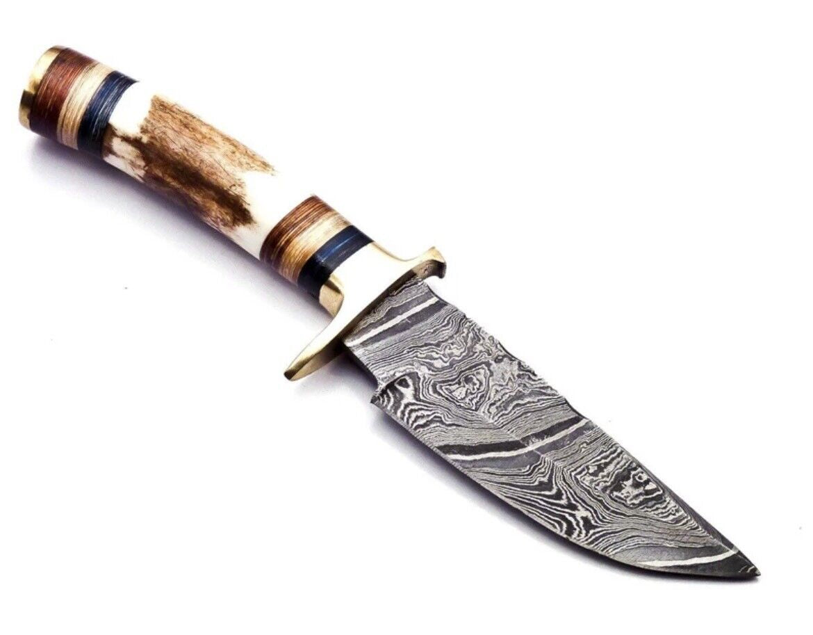 Damascus Steel Hunting Knife with Stag Handle and Brass Guard