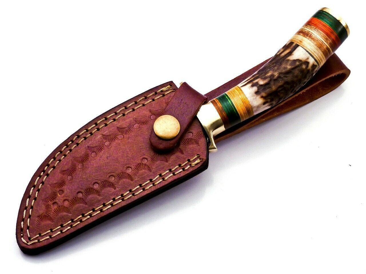 Damascus Hunting Knife with Stag Handle Brass Guard