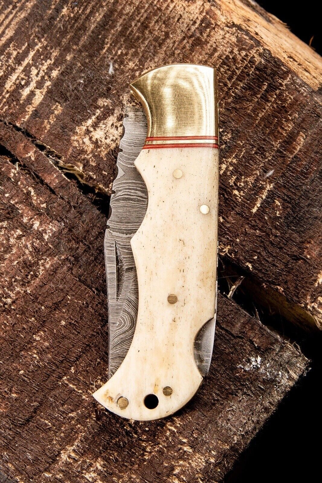 Folding Knife with Camel Bone Handle