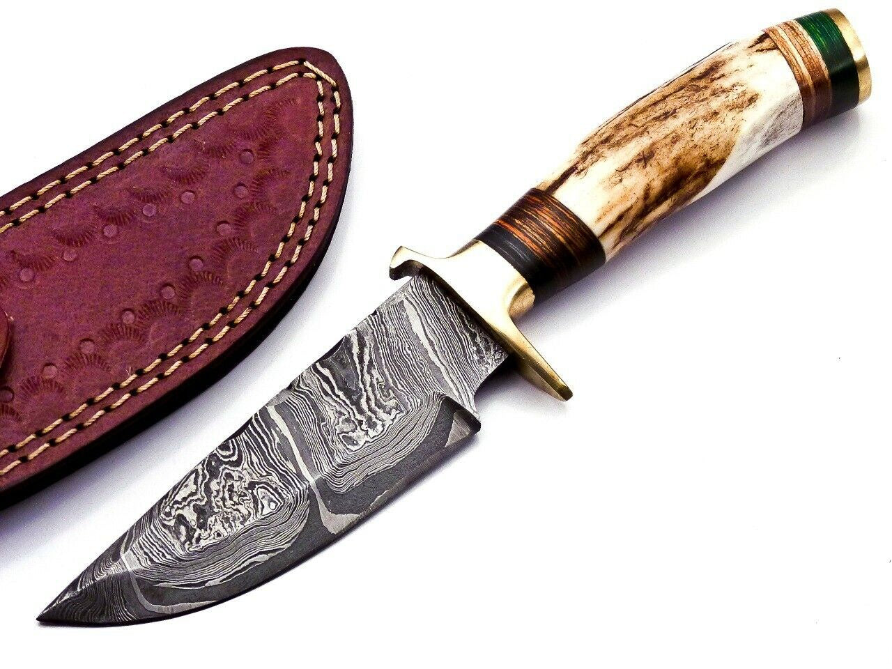 Damascus Steel Hunting Bowie Knife with Stag Handle and Brass Guard