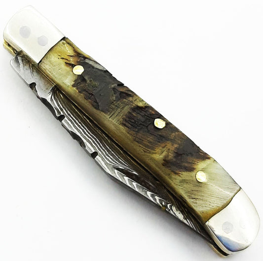 Damascus Folding Mini Pocket Knife with Ram Horn