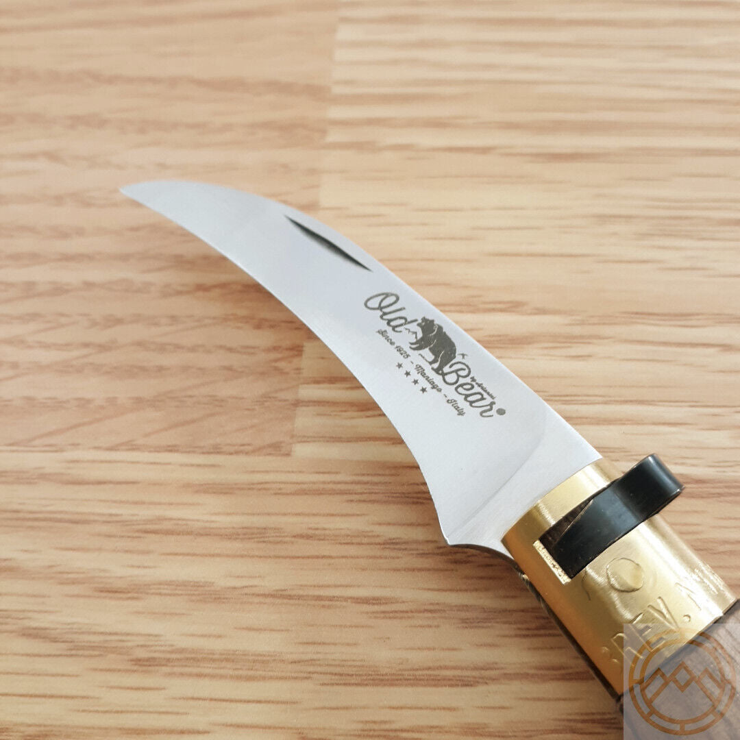 Old Bear Mushroom Knife with 420 Steel Blade and Walnut Handle