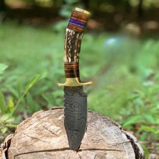 Damascus Steel Hunting Knife with Stag Knife Handle