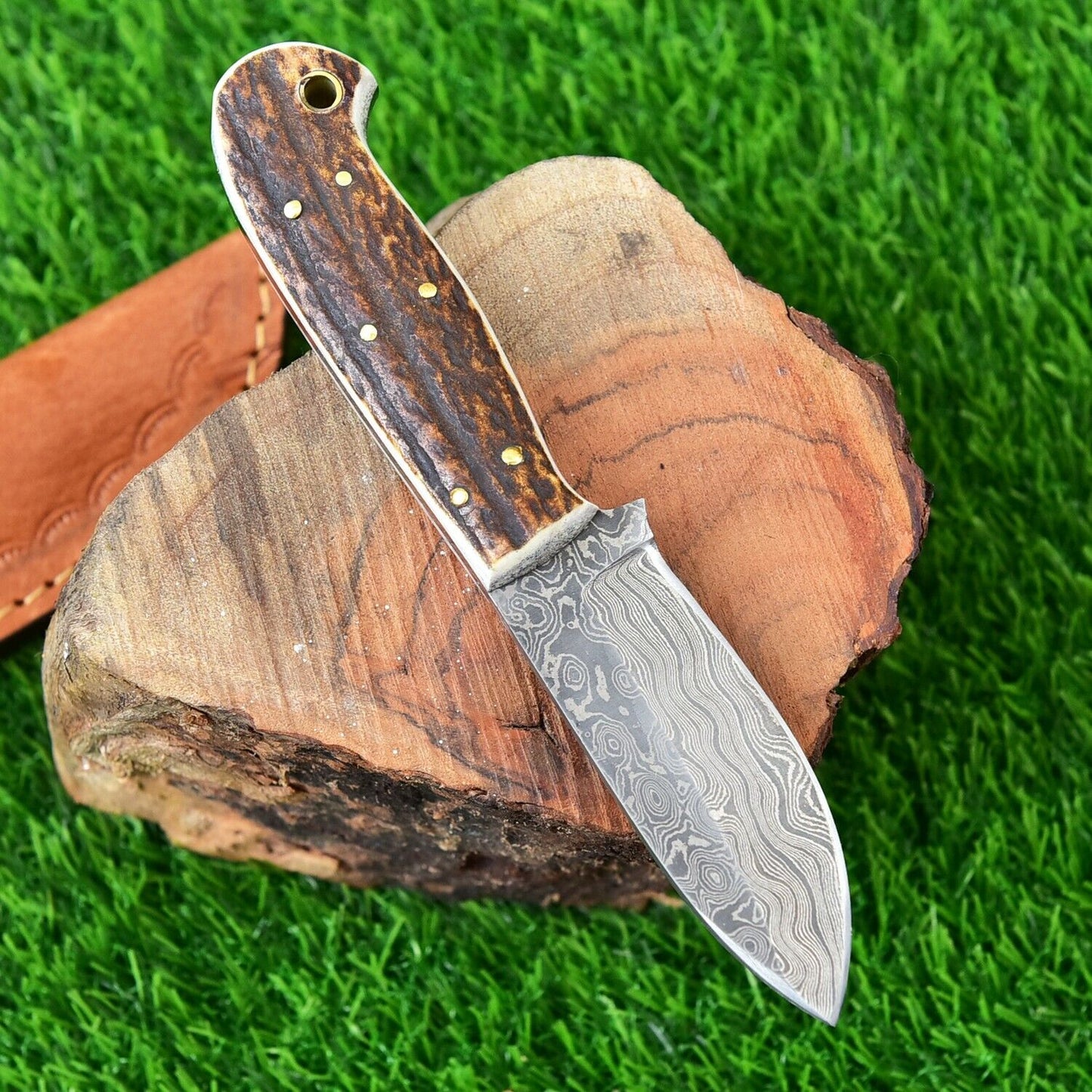 Damascus Hunting Knife with Deer Stag Handle