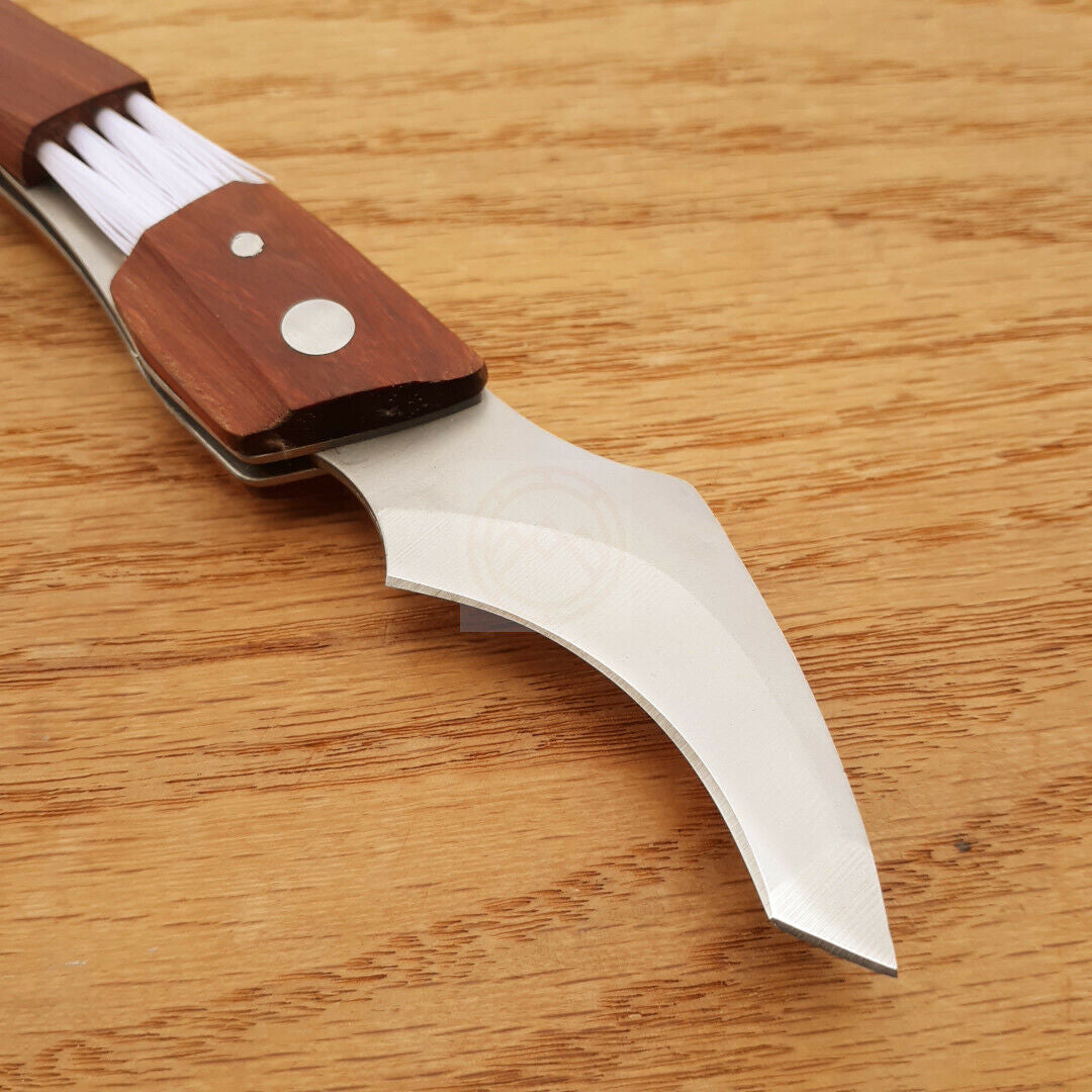 Baladeo Mushroom Folding Knife with curved 420 Steel Blade