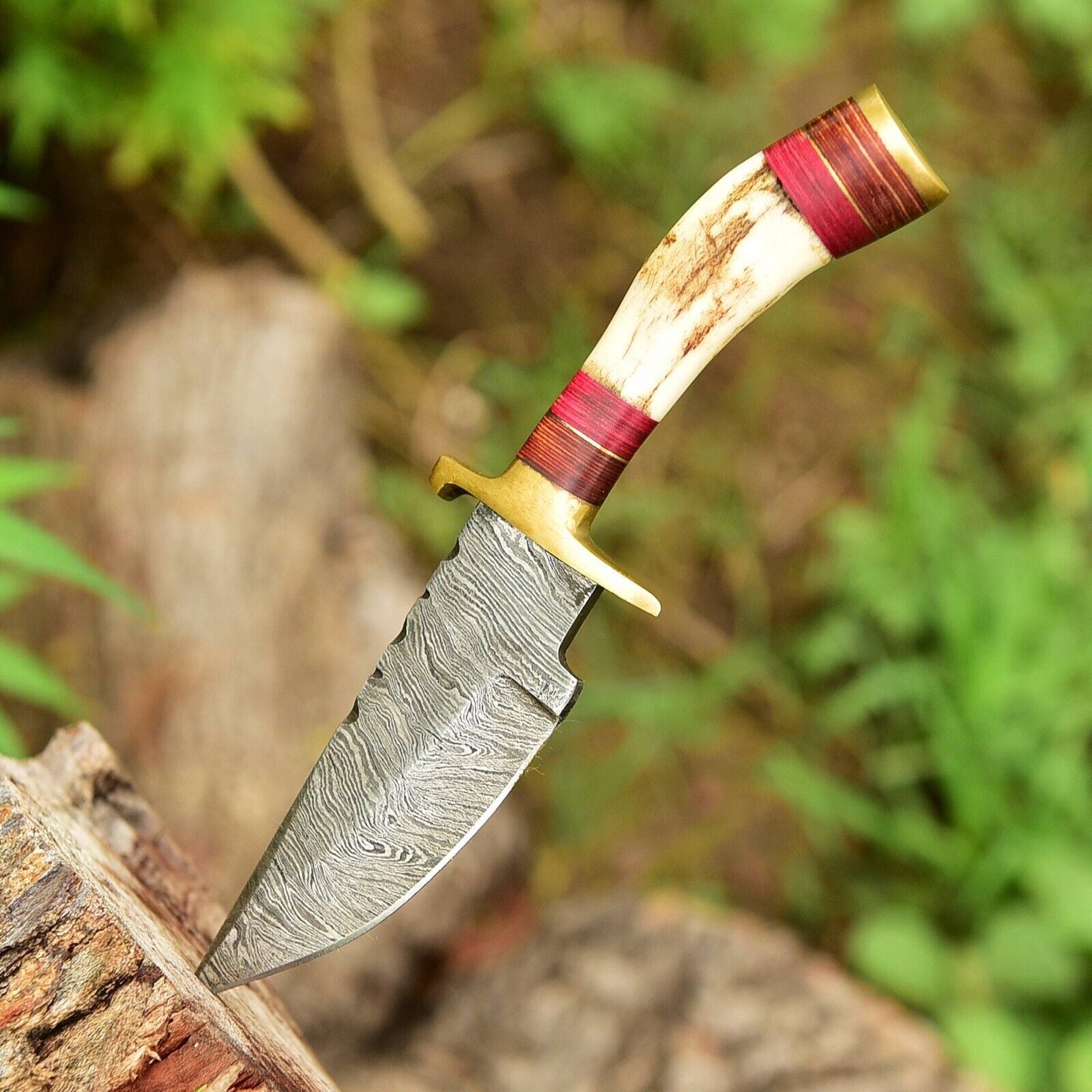 Damascus Steel Skinning Knife with Stag-Antler Handle