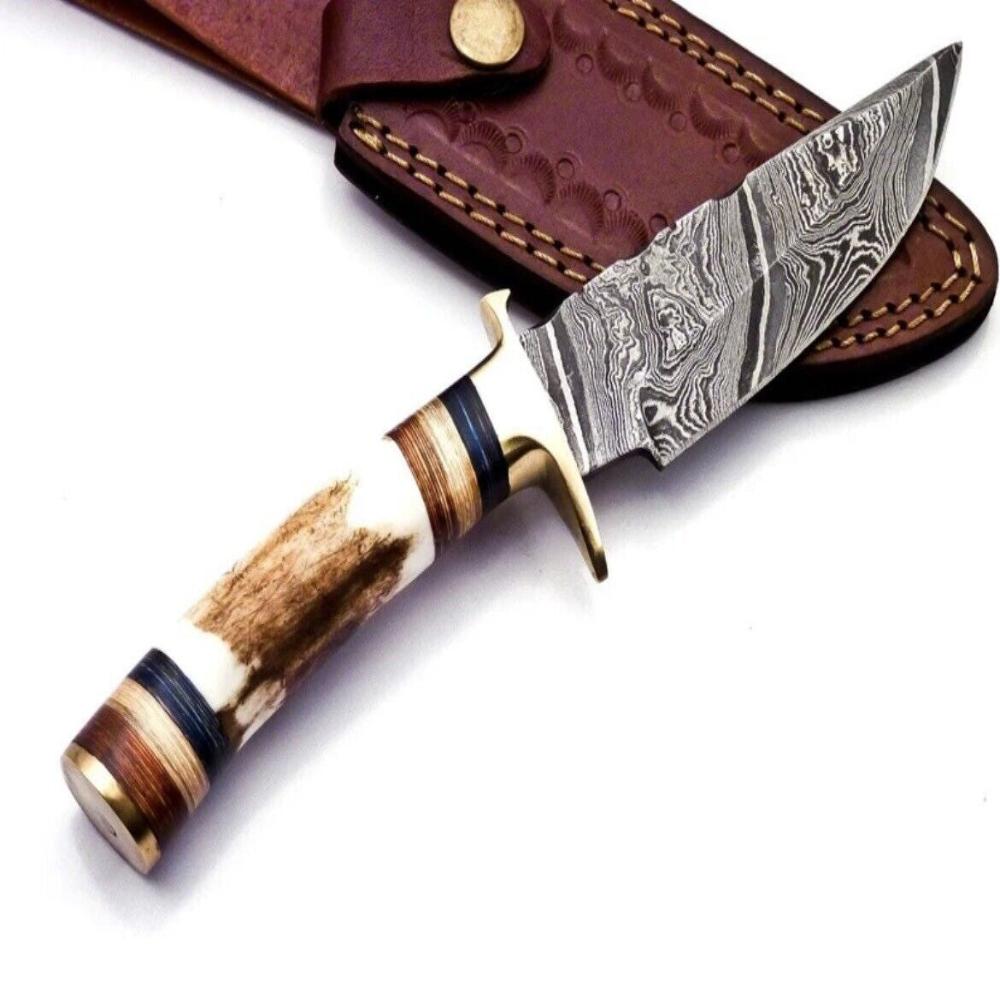 Damascus Steel Hunting Knife with Stag Handle and Brass Guard