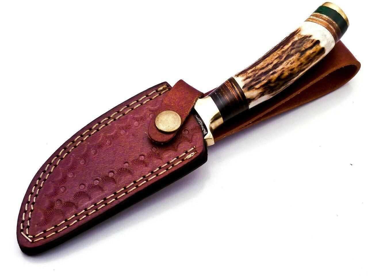 Damascus Steel Hunting Bowie Knife with Stag Handle and Brass Guard